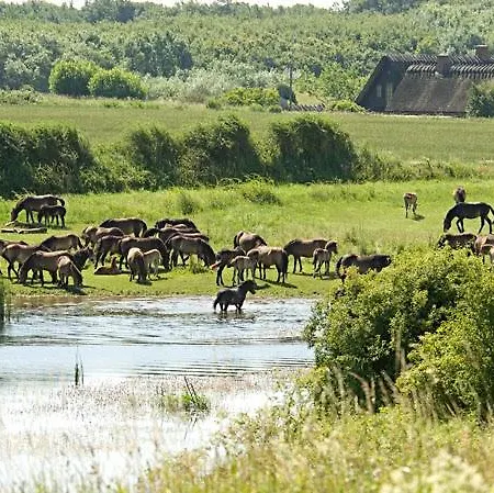 Private Skudehaven * Rudkøbing
