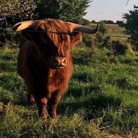 Private Skudehaven * Rudkøbing