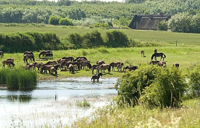 Private Skudehaven * Rudkøbing